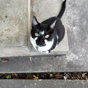 Meet your Posher, Diane